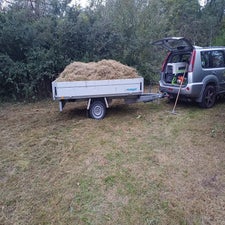 img-20240923-wa0017-standard.jpg