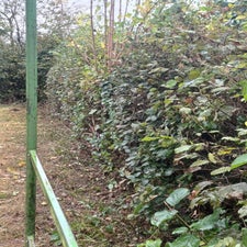 img-20240925-wa0013-standard.jpg