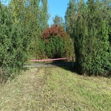 img-20240927-wa0017-standard.jpg