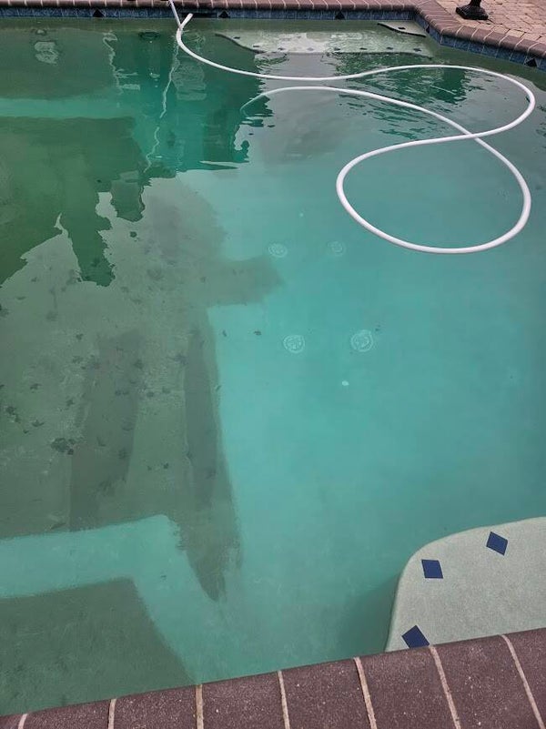 Clean Pool