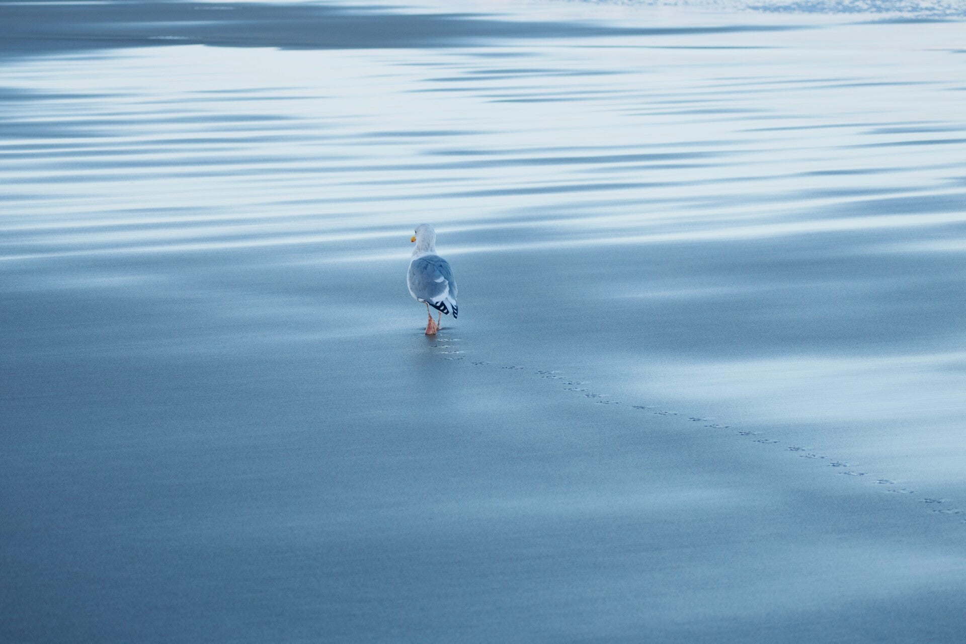 Exploring the Unknown