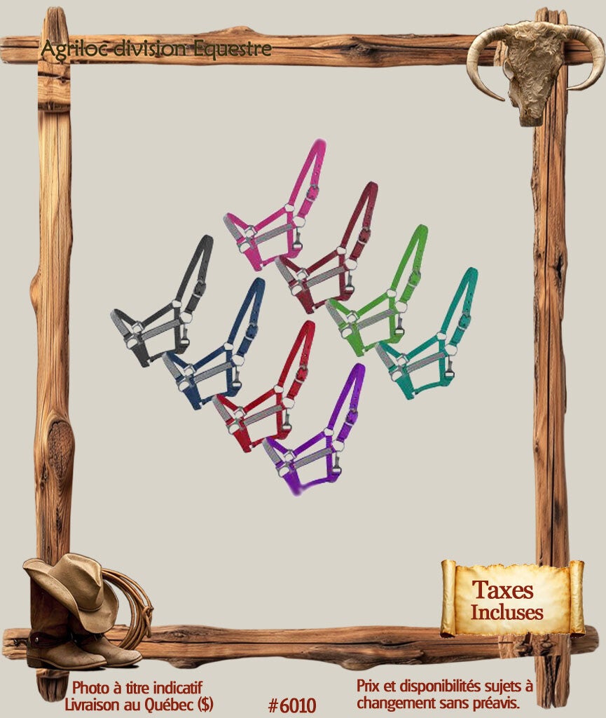 #6010 Licou en nylon taille poney  décorés de cristaux