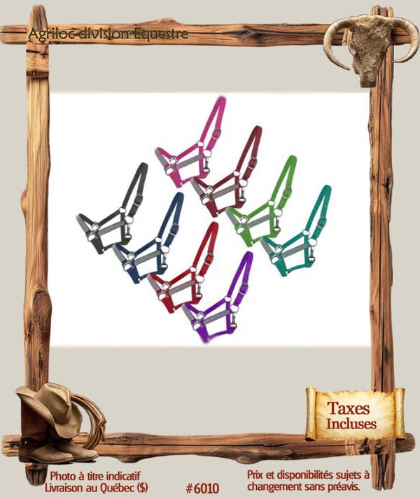 #6010 Licou en nylon taille poney  décorés de cristaux