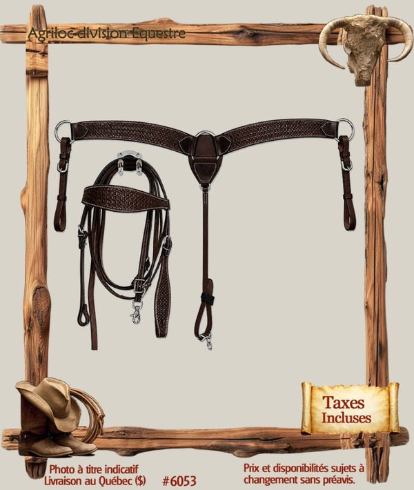 #6053 Ensemble bride, guides et martingale en cuir