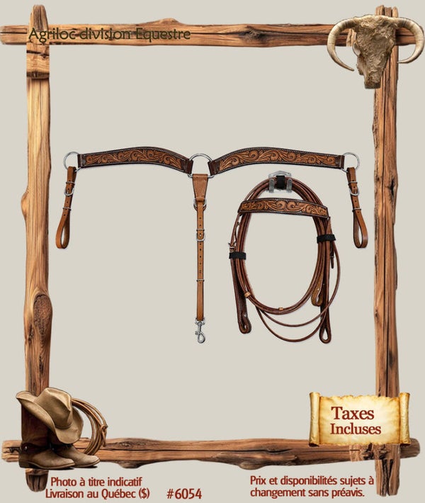 #6054 Ensemble bride, guides et martingale en cuir