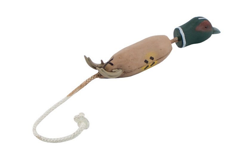 DOKKEN´S Puppy Fasan