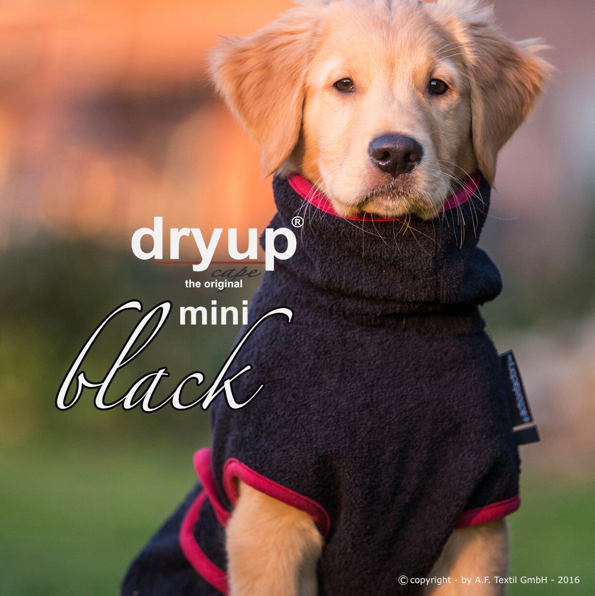 DryUp Cape MINI Hundebademantel