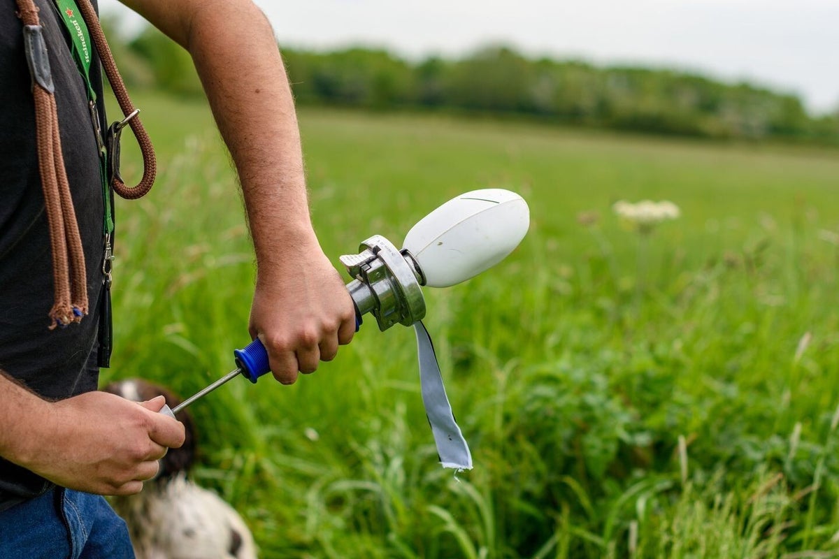 PVC Streamer Dummy | Pannonia Hundeshop
