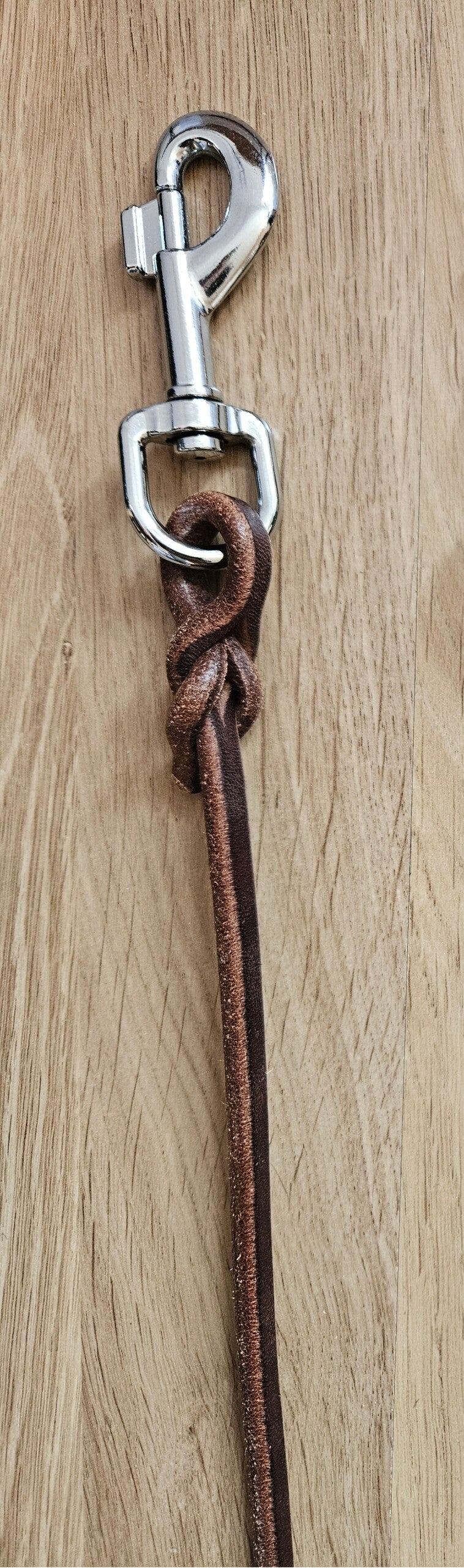 Lederleine mit Karabiner