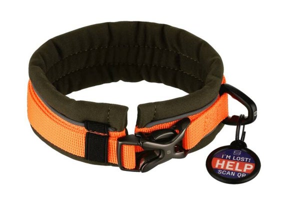 SPRENGER Halsband orange-grün