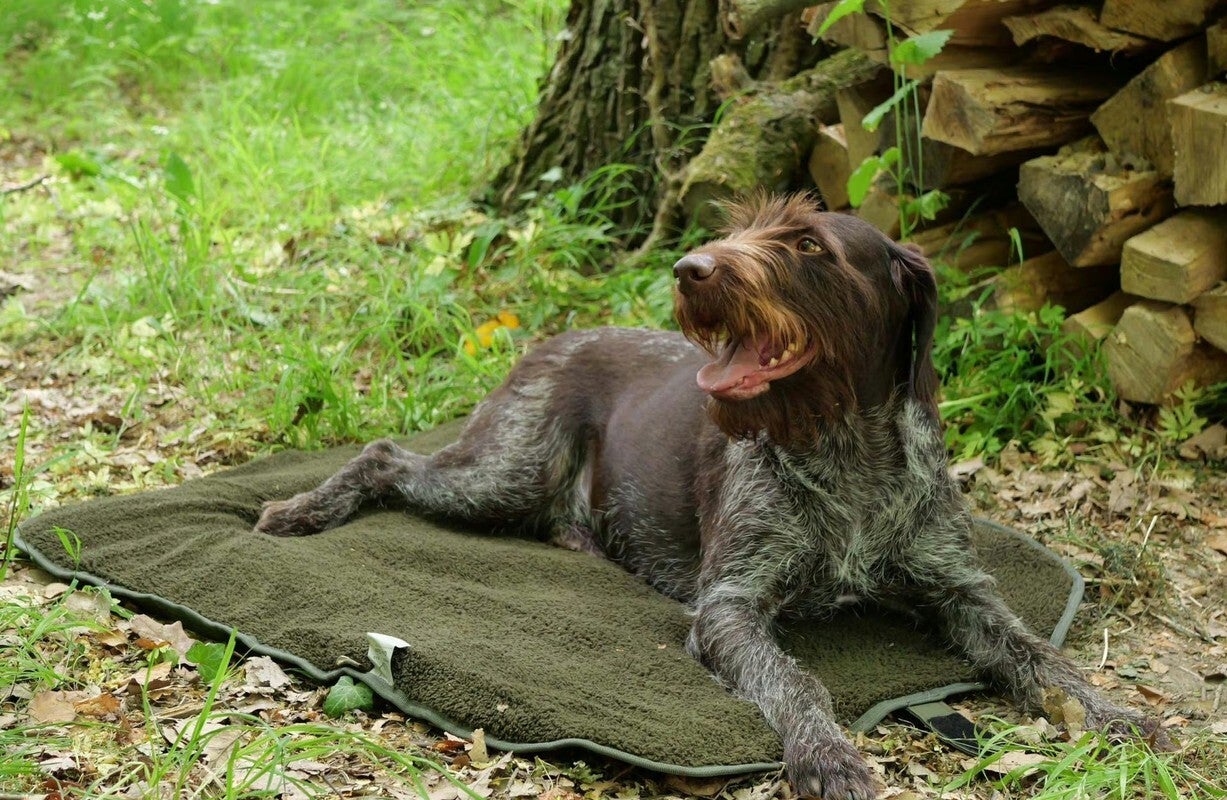 HUBERTUS Outdoor ISO Hundebett