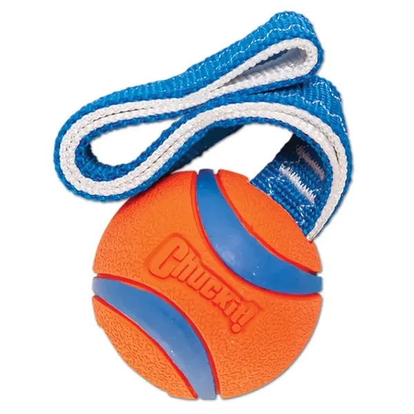 ChuckIt! Ultra Tug
