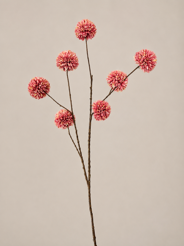 POMPOM TAK | ROZE