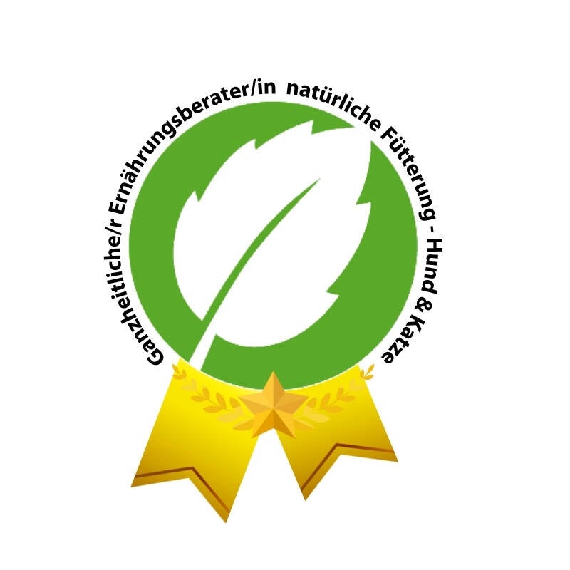 ausbildung-ebh-alle-icon-jpg-weisser-hintergrund-standard.jpg