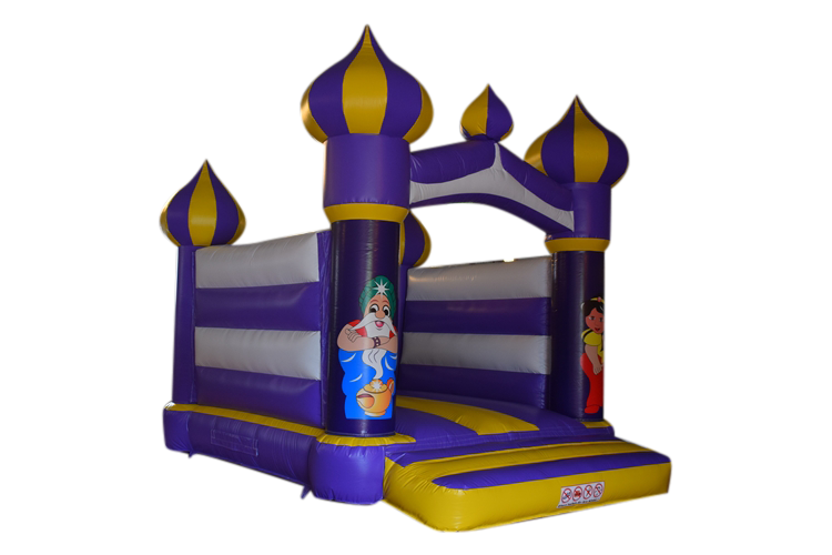 aladdin-standard-h2n484.png