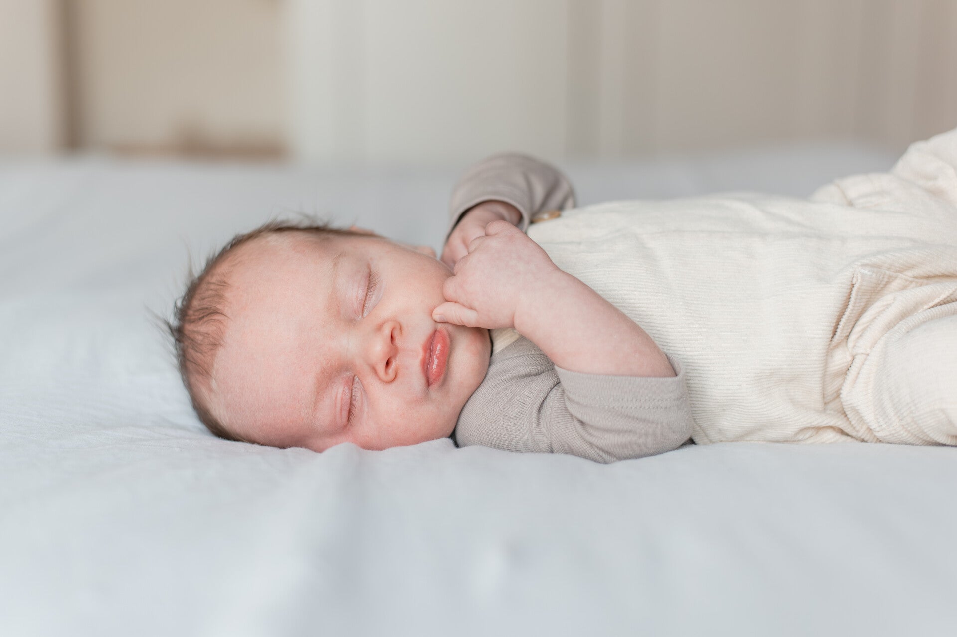 Newborn fotografie Limburg