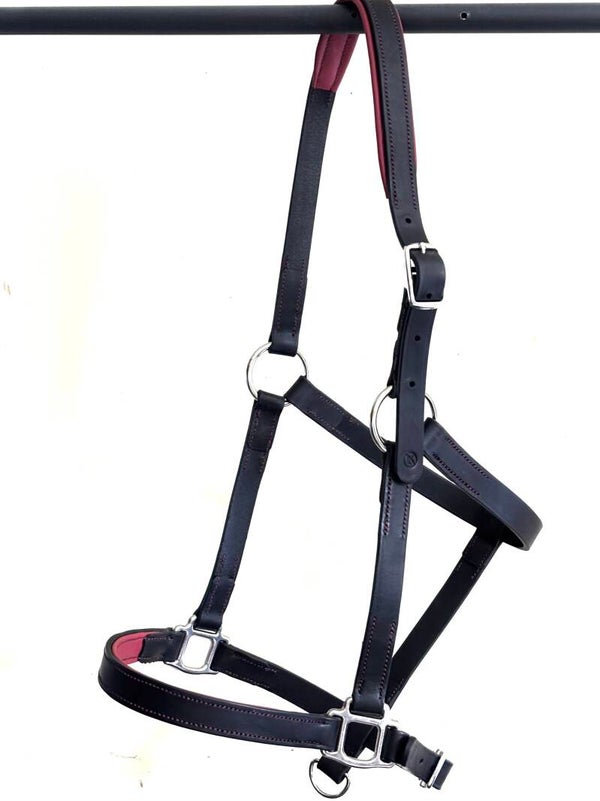 Licol taille cheval (Full)