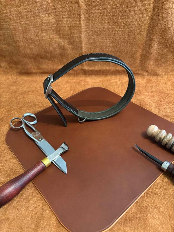 Collier pour chien doublé - Taille L