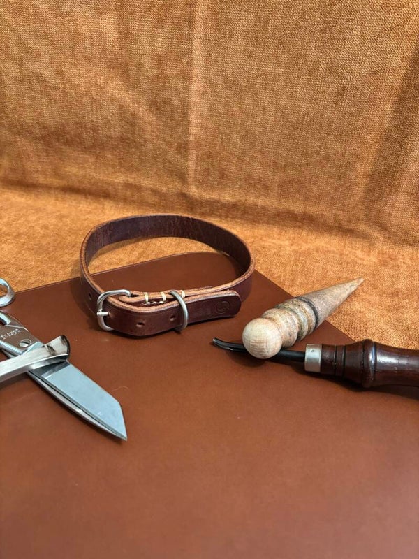 Collier pour chien - Taille M