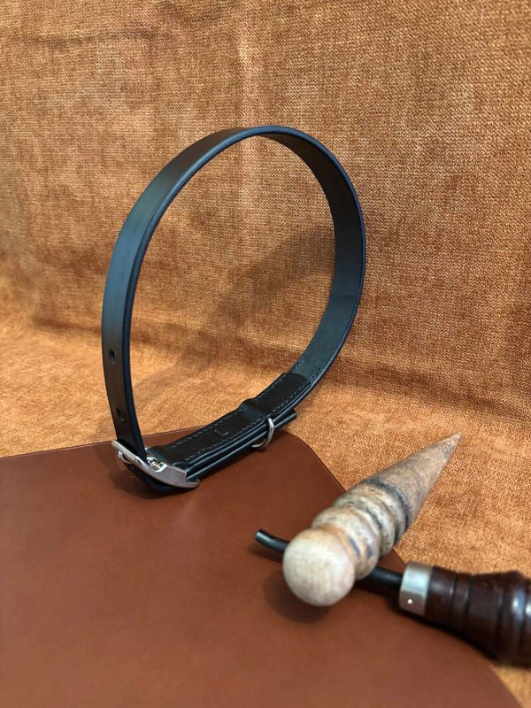 Collier pour chien - Taille L