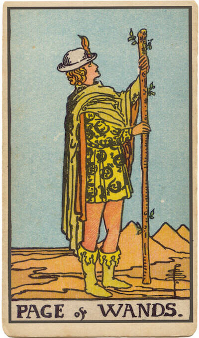 Carta de Sota de Bastos. Un joven con un bastón mira una hoja, que simboliza la creatividad, la exploración, la pasión y los mensajes inspiradores.