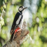 DSC049121-FB-1.jpg