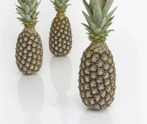 Bio-Ananas aus Togo
