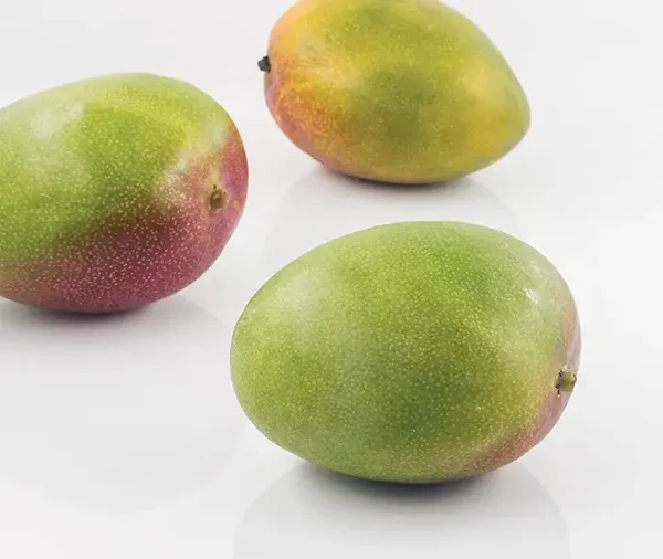 Bio-Mangos aus Spanien