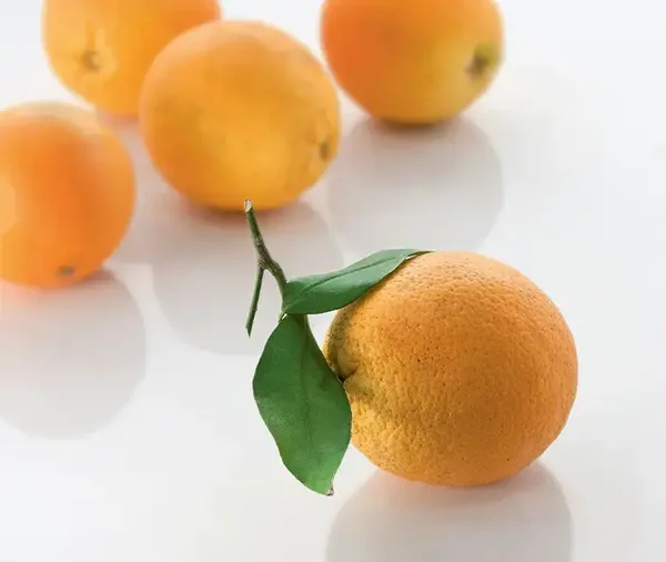 Bio-Orangen aus Griechenland
