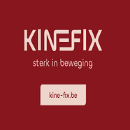 kinefix-standard