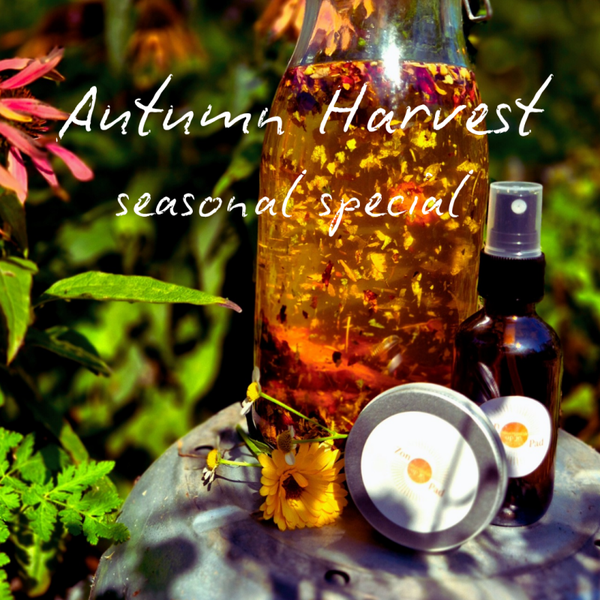Autumn Harvest Seasonal Special