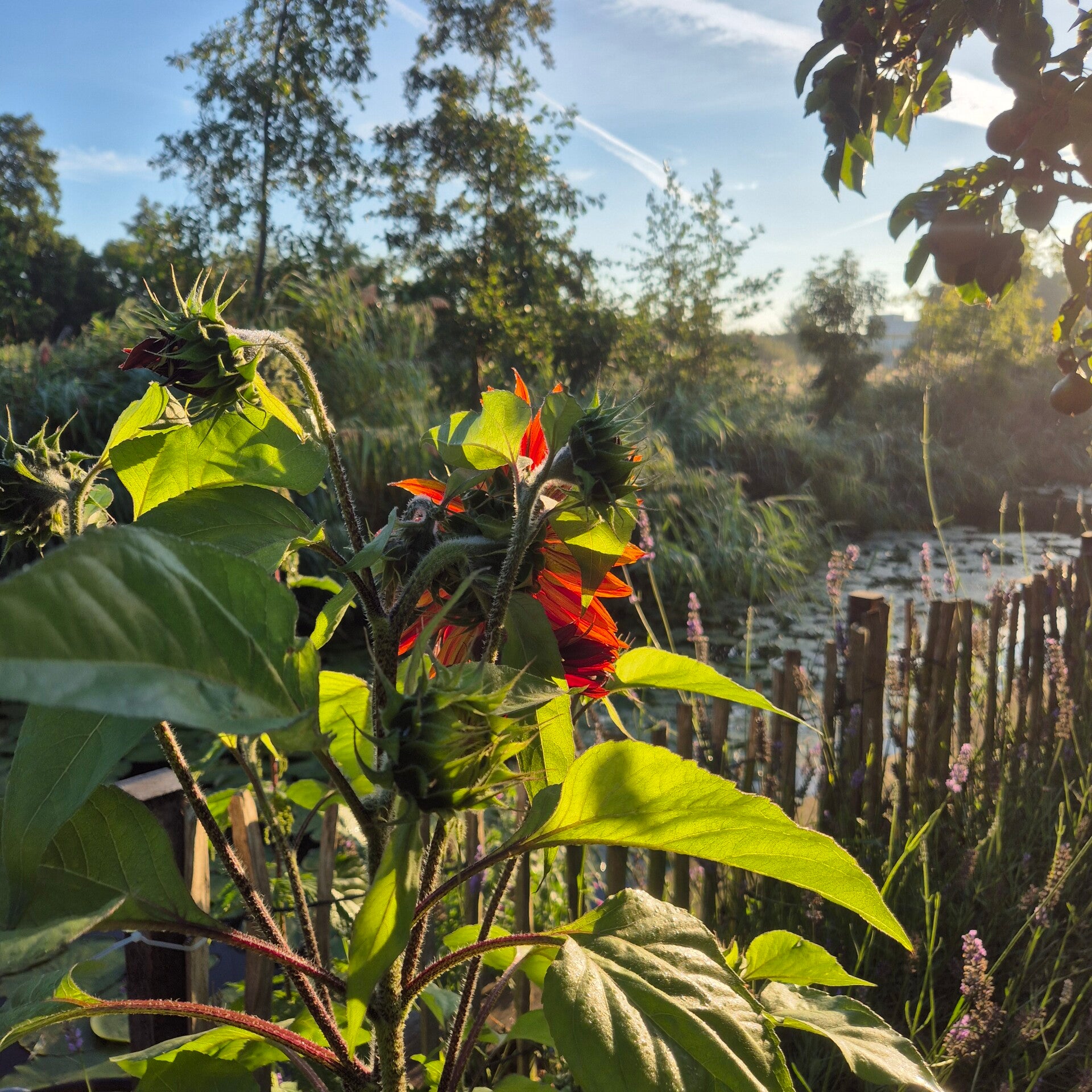 Herfst-equinox ⁓ Water