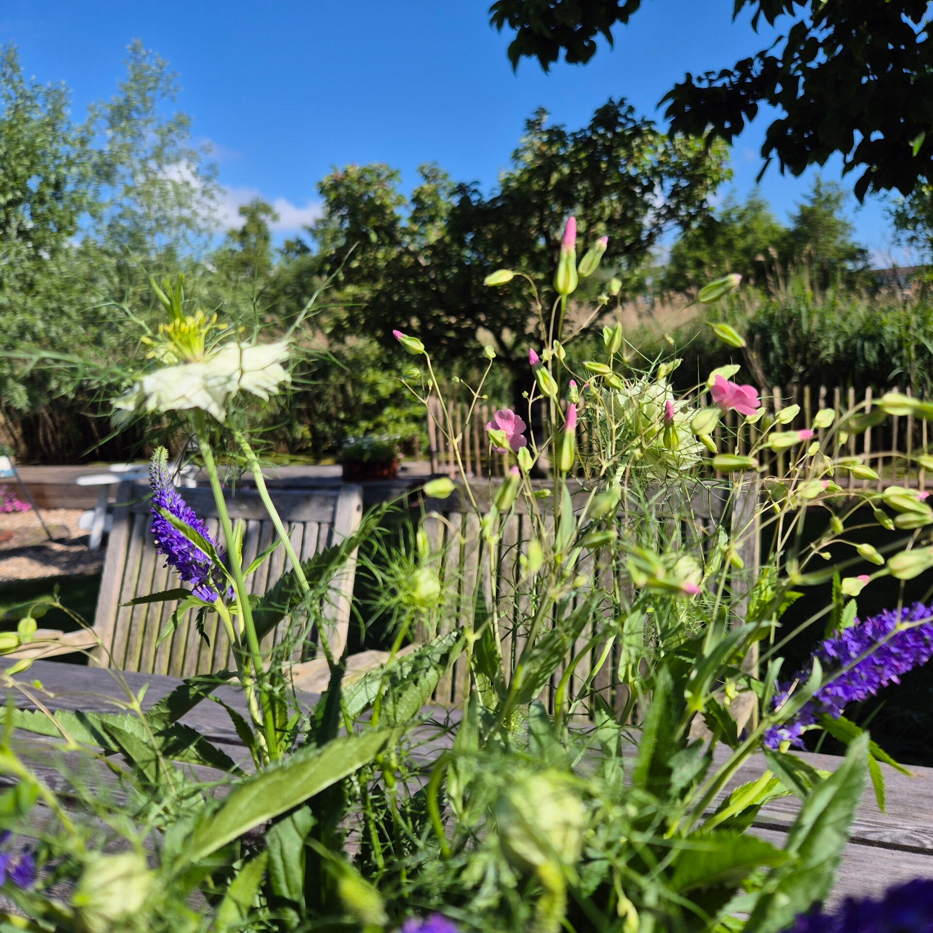 🌿 Samen 't jaar rond ⁓ 4 seizoenen & 4 elementen