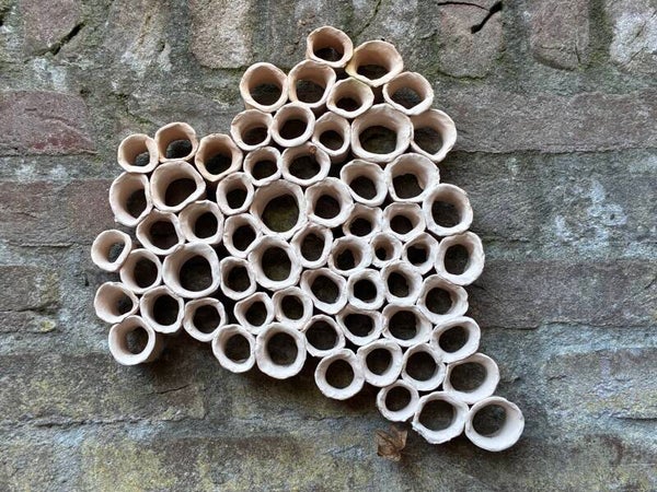 Vorm van kleine ringen