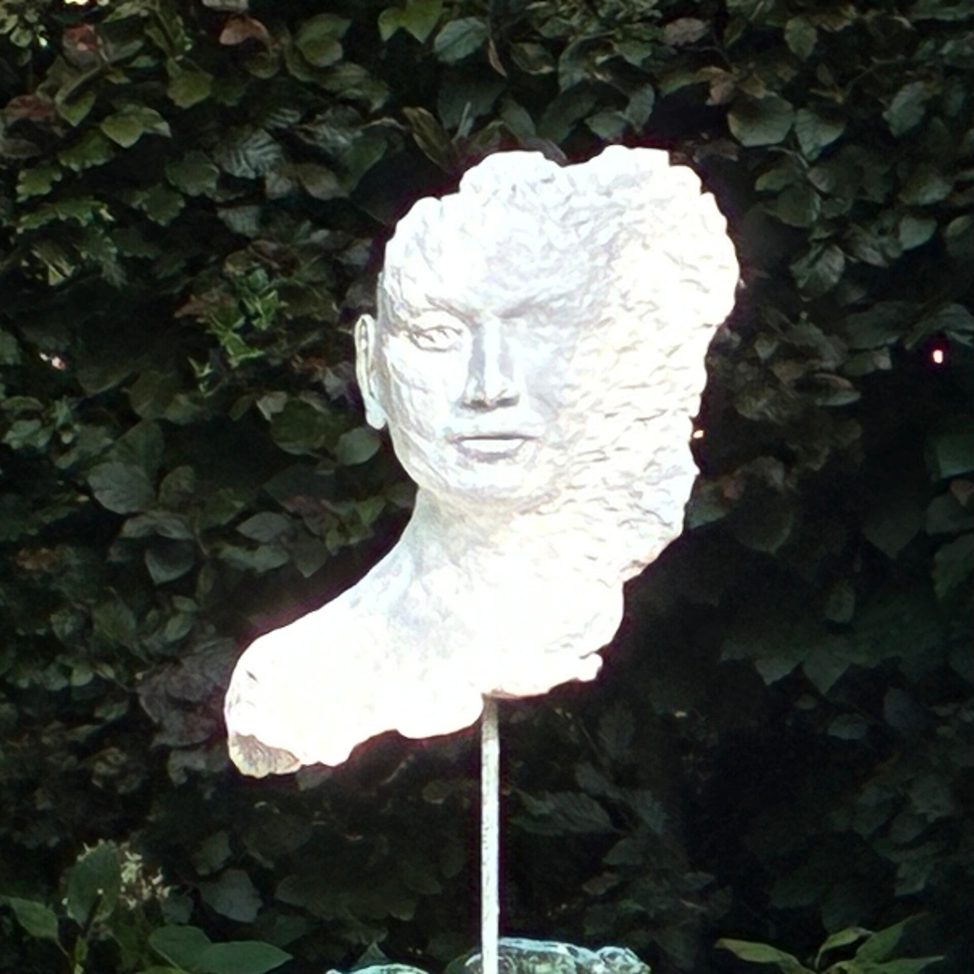Waaikop