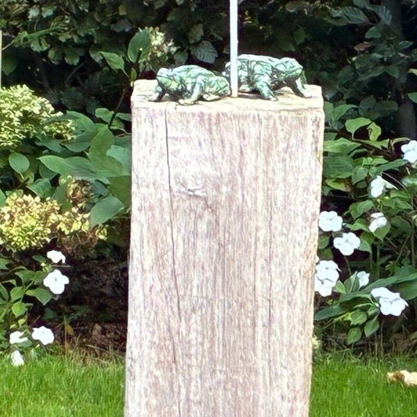 Kikkertje