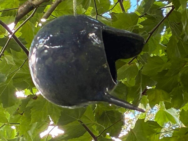 Vogelvoerbakje hangend met pet en puntbaard