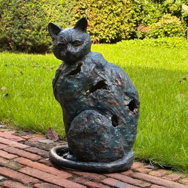 Kat met gaten