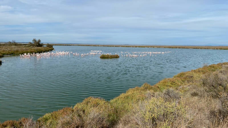 les Saintes Maries de la Mer