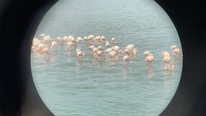 les Saintes Maries de la Mer