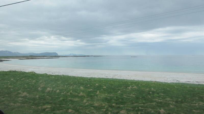 Bleik rondrit Andoya