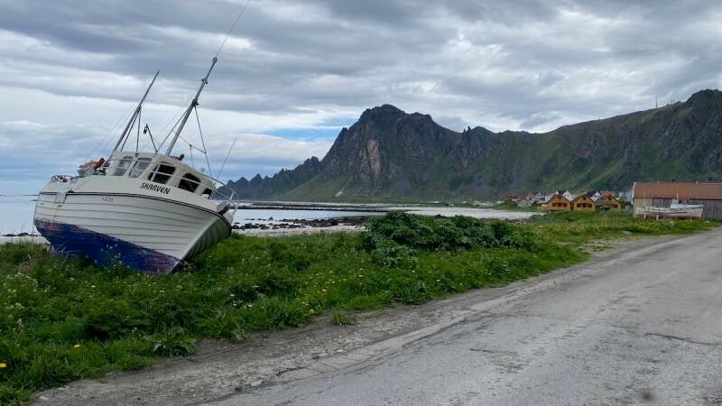 Bleik rondrit Andoya