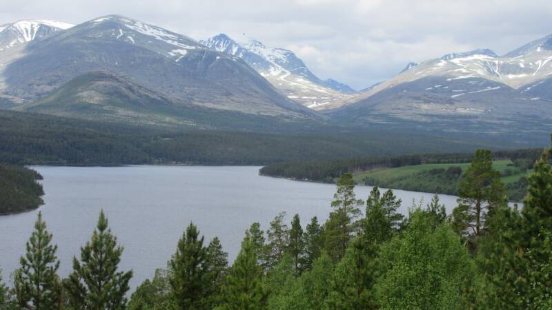 Rondane