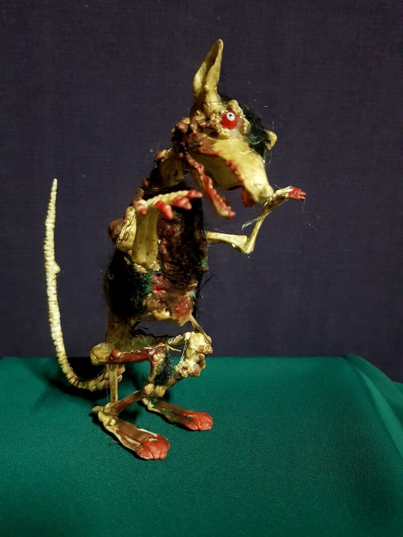 Kleine Zombie Ratte stehend