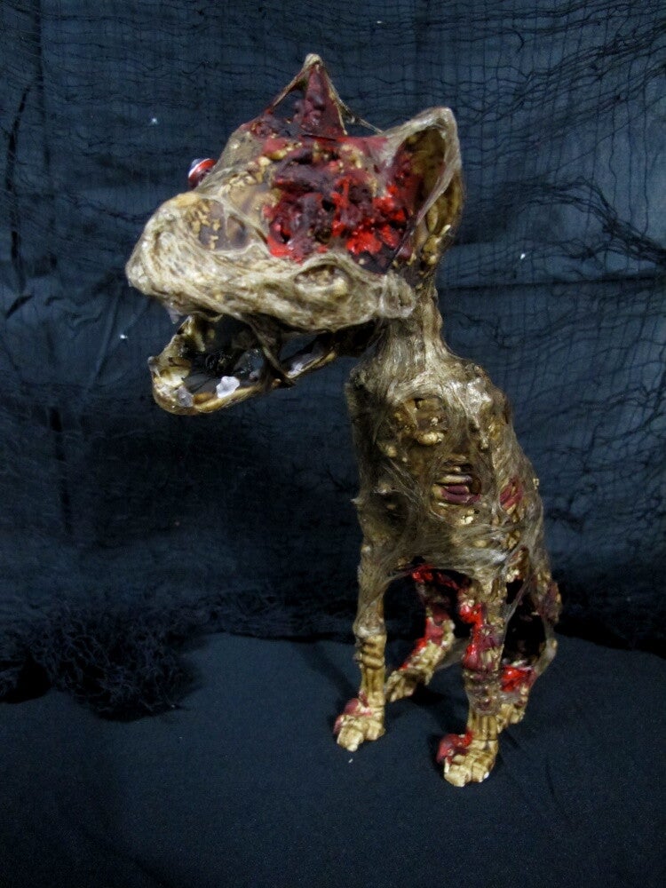 Zombie Katze - Horror Cat -