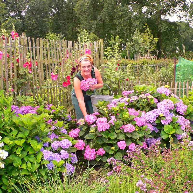 2006-uw-tuin-weer-nieuw-leven-inblazen-margriet