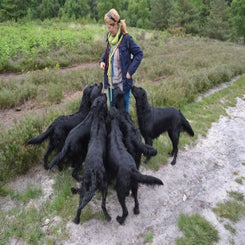 wiesveelflats.jpeg