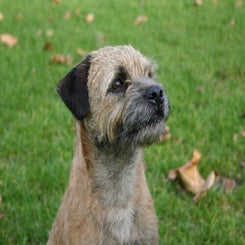 oska_hoofdjpg-1.jpg