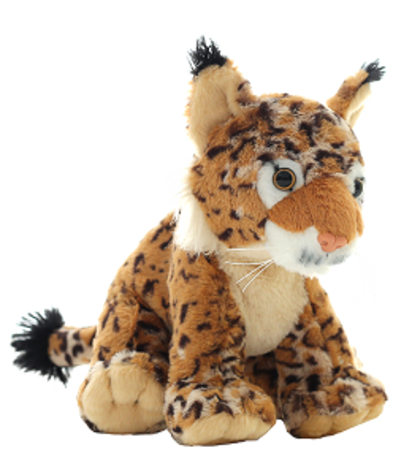 Speedy the Spotted Cheetah
