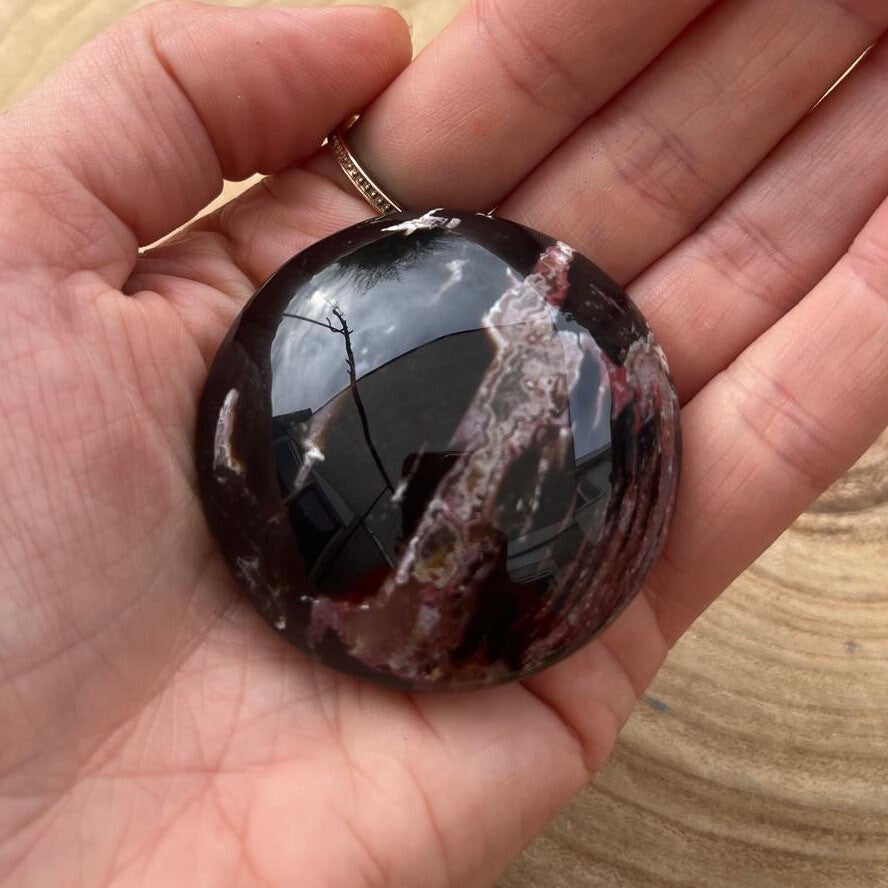 Handsteen Versteend Hout